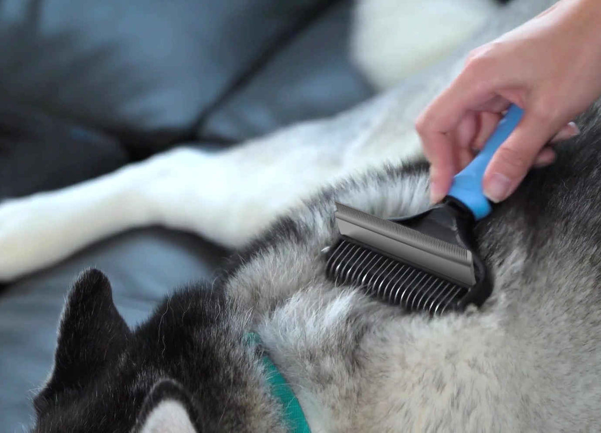 5 Best Pet Grooming Tools for AtHome Groomers Scooper Cleaner